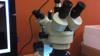 Microscope Expert  Opening Trinocular Port on Stereo Microscope for Microscope Camera [upl. by Eedolem]