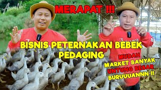 MERAPAT YANG MAU USAHA PETERNAKAN BEBEK PEDAGING  CONTOHNYA BEGINI   JURAGAN LAHAN [upl. by Arzed569]