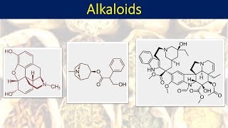 Part 1 Alkaloids intro and classification [upl. by Annayhs]