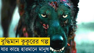 এই গল্প আপনার চোখে পানি নিয়ে আসবে  The Call of the Wild 2020 Movie Explained in Bangla [upl. by Ray963]