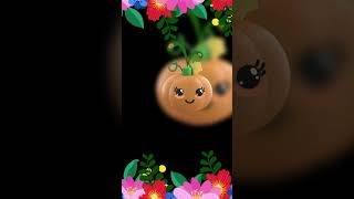 High contrast Baby Sensory Video For Toddlers  Hey Baby Bear Fruit Dance Video [upl. by Melisent]