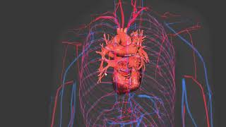 CIRCULATION  ENHANCED BLOOD  VARICOSE TREATMENT  MORPHIC FIELD [upl. by Innoc]