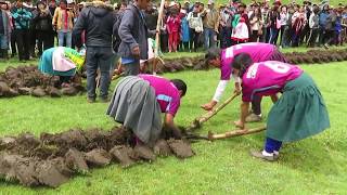 Fiesta de Comadres  Margos 2019 BARBECHO DAMAS [upl. by Partan879]