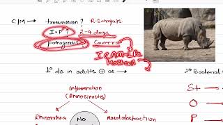 RHINOVIRUS  VIROLOGY  MICROBIOLOGY [upl. by Atikan]