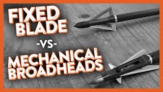 Fixed Blade vs Mechanical Broadheads [upl. by Nyberg]