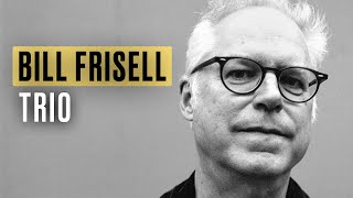 Bill Frisell Trio  Berlin  Jazz  Guitar [upl. by Loss]