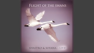 Flight of the Swans Live [upl. by Fulcher878]