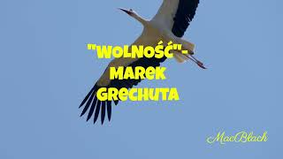 quotWOLNOŚĆquot Marek Grechuta [upl. by Pooley]