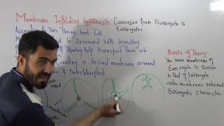 L2 Membrane infolding hypothesis  Evolution of Prokaryotes to Eukaryotes [upl. by Novihs]