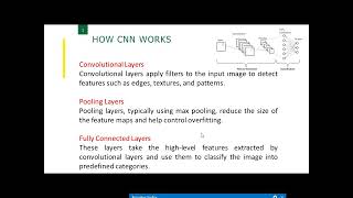 Plant disease detection using CNN [upl. by Aninahs]