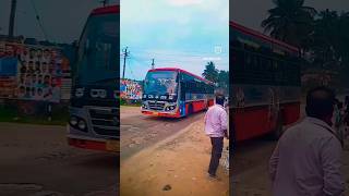 ksrtcmassentry youtubeshorts ksrtcbus travel [upl. by Thynne559]