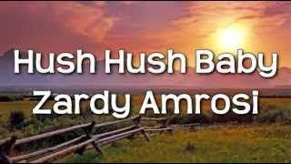 Hush Hush Baby  Zardy Official Lyric Video [upl. by Ilwain]