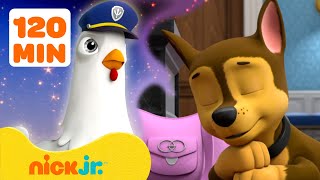 PAW Patrol Pups Have Weird Dreams 2 w Chase amp Chickaletta  2 Hours  Nick Jr [upl. by Marissa]