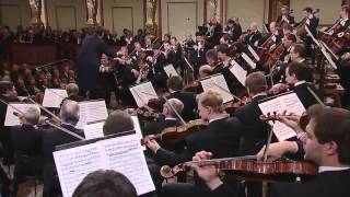 Beethoven  Sinfonia N 8 in Fa Maggiore  Christian Thielemann  Filarmonica di Vienna [upl. by Awhsoj146]