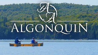 Algonquin Provincial Park in 4K  Canoe Camping and Bushcraft in Ontario Canada [upl. by Nelon]