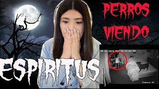 REACCIONANDO A VIDEOS DE TERROR CAPTADOS EN CAMARA💀🎥 [upl. by Jessica]