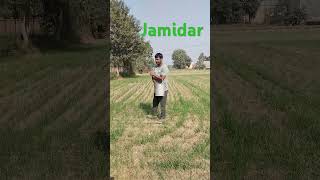 Jamidar song wheat 🌾🌾🌾 crops [upl. by Lasko451]