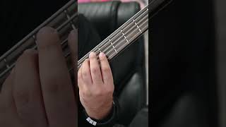 Bass Solo with Harmonics and ChordsSolo de Bajo con Armónicos y Acordes [upl. by Stubbs]