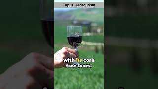 Discover the Top 10 Agritourism Destinations You Cant Miss tourism travel agritourism explore [upl. by Rech]