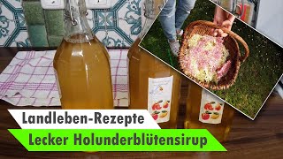 Holunderblütensirup selber machen 😋 Super leckeres Rezept [upl. by Onailerua]