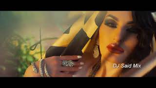 Farzana Khurshid Habibi Dil DJ Said Mix [upl. by Ainitsirk518]