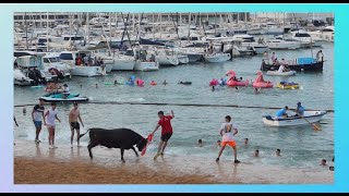 Bous a la mar Denia 2024 Ganaderia Bonavent [upl. by Ahsitan399]