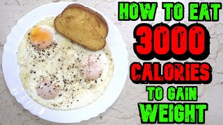 How To Eat 3000 Calories A Day To Gain Weight [upl. by Stag]