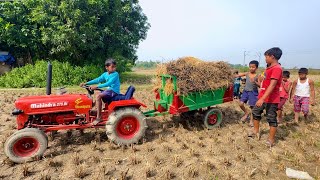 Went To Bring Paddy To The Field With Mini Tractor  Farmer Funny Video  Mini Tractor [upl. by Ellatsirhc]