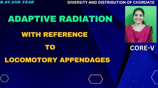 Adaptive Radiation With Reference To Locomotory Appendages BSc 2nd YearAdaptiveRadiationmammals [upl. by Vikky]