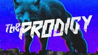 The Prodigy  The Day Is My Enemy LH Edit Official Audio [upl. by Arinay466]