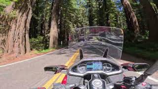 2023 Goldwing Adventures quick one through the Redwoods [upl. by Zohara]