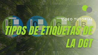 Tipos de etiquetas o distintivos ambientales de la DGT [upl. by Liponis]