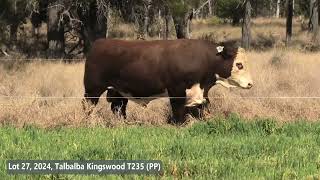 Lot 27 2024 Talbalba Kingswood T235 PP [upl. by Chambers]