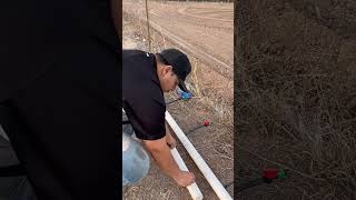 Instalando tubería para sistema de riego por goteo 💧 agricultura plantas [upl. by Imeka]