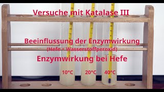 Enzyme amp Biokatalyse III Temperaturabhängigkeit und RGTRegel  Hefereaktion mit Wasserstoffperoxid [upl. by Adnorrehs]