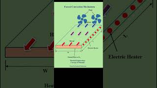 Forced Convection Process Mechanism heat heattransfer convectionheattransfer forced energy [upl. by Marline606]