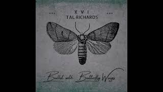 X V I x Tal Richards  Bullet With Butterfly Wings Smashing Pumpkins Cover [upl. by Aisnetroh237]