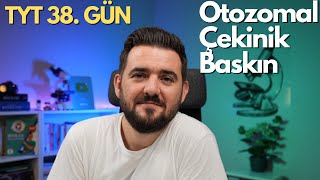 Otozomal Çekinik Baskın  39 Günde TYT Biyoloji Kampı  38 GÜN  yks2025 [upl. by Cecilia]