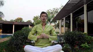 chakras mantras amp mudras [upl. by Steffin351]