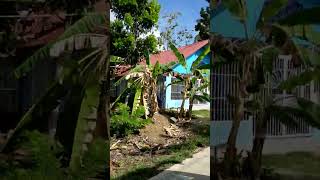 Sightseeing from Mabini Cabulao  Ubay Bohol [upl. by Henka]