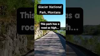 Driving Americas HIGHEST Road 🤯  Glacier National Park Adventure [upl. by Ailemor]