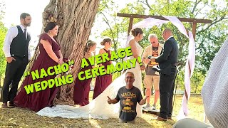 Stephanie and Ryans quotNachoquot average wedding ceremony by a quotNachoquot average wedding officiant [upl. by Roxane]