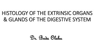 MICROSCOPIC  HISTOLOGICAL ORGANIZATION OF THE EXTRINSIC ORGANS amp GLANDS OF THE DIGESTIVE SYSTEM [upl. by Spitzer]