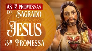 As 12 Promessas do Sagrado Coração de Jesus – 3ª Promessa [upl. by Hesta190]