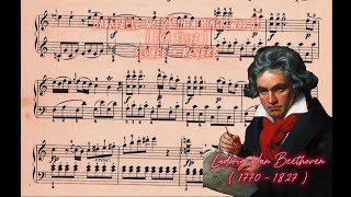 Beethoven — Bagatelle No 25 in A Minor WoO 59  Für Elise  —  slowed  reverb [upl. by Enrahs597]