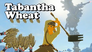 Tabantha Wheat Farming In Zelda Breath Of The Wild  BotW [upl. by Weihs]