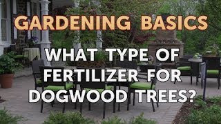 What Type of Fertilizer for Dogwood Trees [upl. by Nalced]