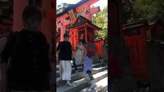 Fushimi inari shrine [upl. by Ilona441]