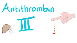 Antithrombin III  How Heparin Works [upl. by Misa]