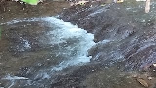 Con Mi Sobrino a Explorar el Salto de Jaguey [upl. by Lavina]